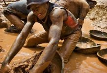 Poverty To Blame For Artisanal Mining – Maguwu