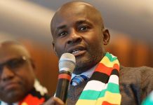 Zanu PF factions: Mliswa turns guns on Wadyajena