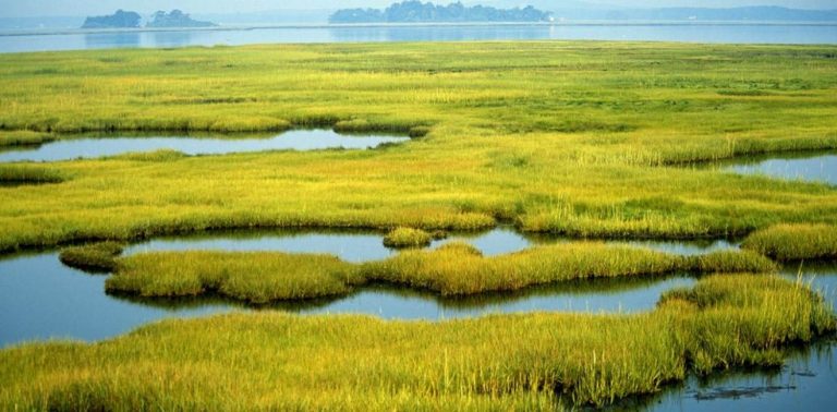 Human Rights Lawyers’ Statement On World Wetlands Day