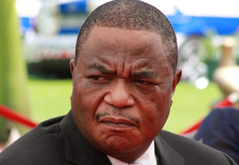 No by-elections anytime soon, declares Chiwenga
