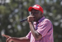 ‘We are loyal to Chamisa’ – Chibaya