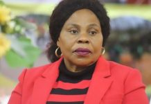 Zimbabwe To Export Electricity By 2025 – Mutsvangwa