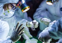 Firms Increase COVID-19 Related Spending