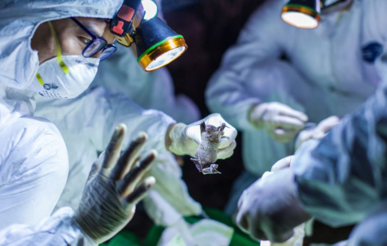 Journos Adopt Survival Skills To Minimise COVID-19 Risks