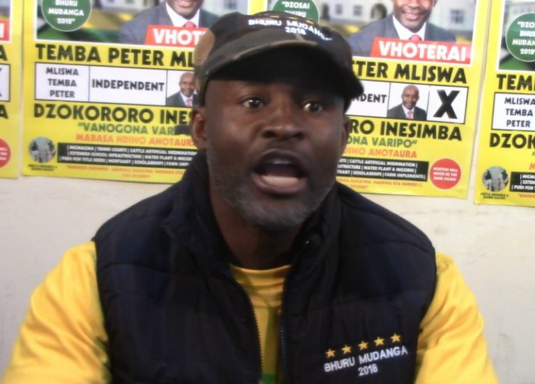 Malume, please shut up – Mliswa to Ncube