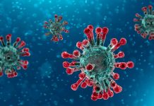 Covid vaccine shows nearly 95% protection