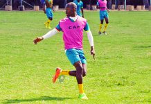 ‘Musona should be counted among Zimbabwe’s natural resources’