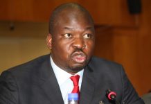 Biti wants Guvamatanga arrested