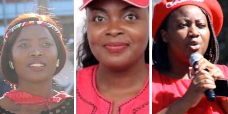 Zimbabwe to Make Foreign Contacts, Allegations of Torture, Abduction Illegal