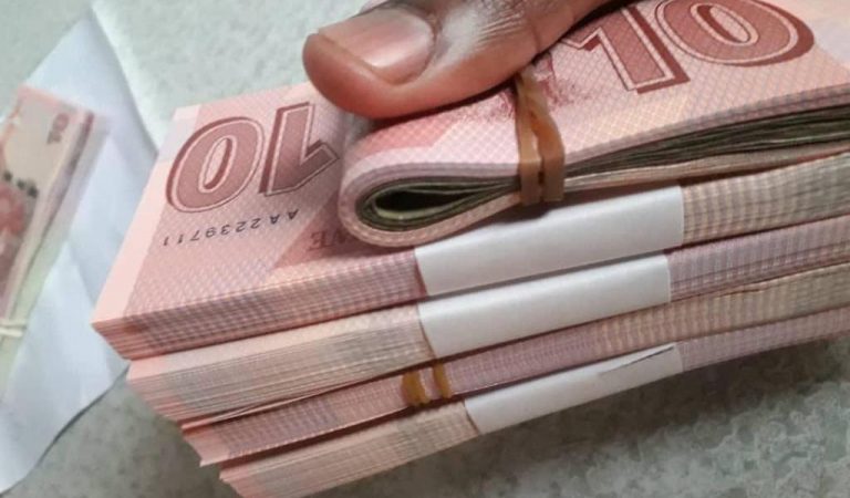 ‘Zimbabwe Dollar Experiment Was Doomed From The Start’