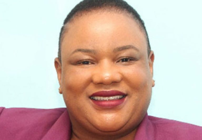ZINWA Completes ZW$10.6M Borehole Installations In Nyamandlovu
