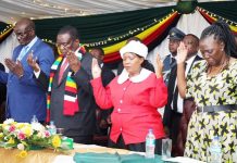 Government to track licensed power projects