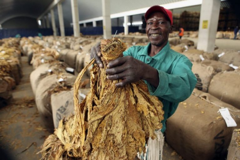 Tobacco Earnings Surpass Us$600m