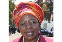 Gvt appoints new Zisco CEO, additional board members