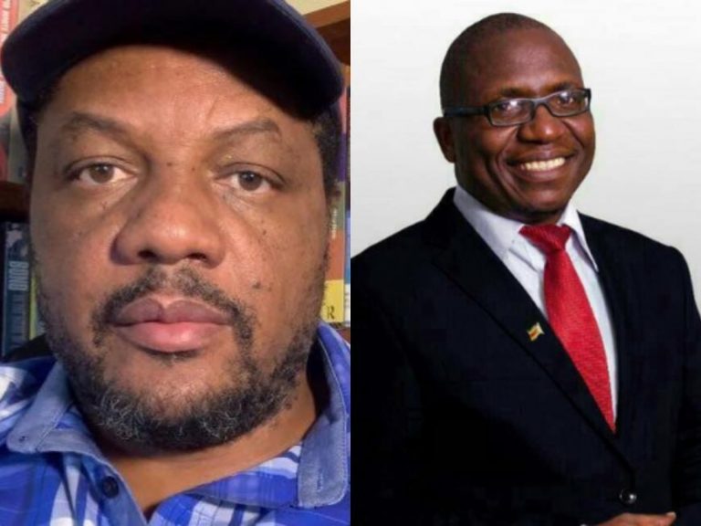 Hopewell Chin’ono High Court Bail Appeal Postponed