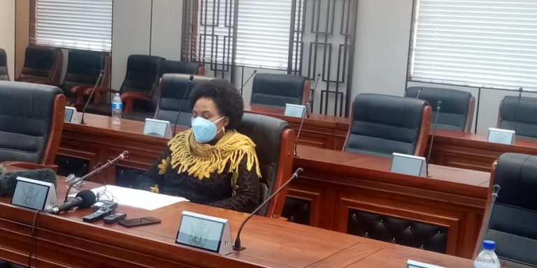 Zim Govt Exposed On Flimsy Accusations – Tendai Mbofana