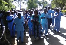 Civil Servants Refuse To Negotiate Zimbabwe Dollar Salaries