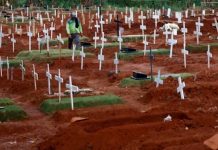 Covid-19 death toll jumps to 13