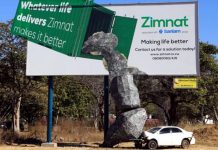 ZIMNAT Offers Life Cover To Zimbabwean In South Africa