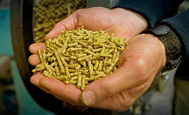 2 250 benefit from stockfeed scheme in Beitbridge