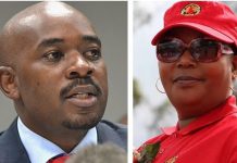 Khupe Removes Chamisa’s Ally From Parly Committee