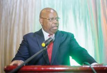 Corruption costs Zimbabwe US$7bn — Speaker