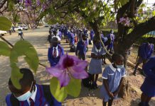 Zimbabwe teachers refuse to return to work over low pay and lack of sanitation
