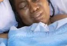 Govt Doctors Confirm Mamombe’s Mental Illness