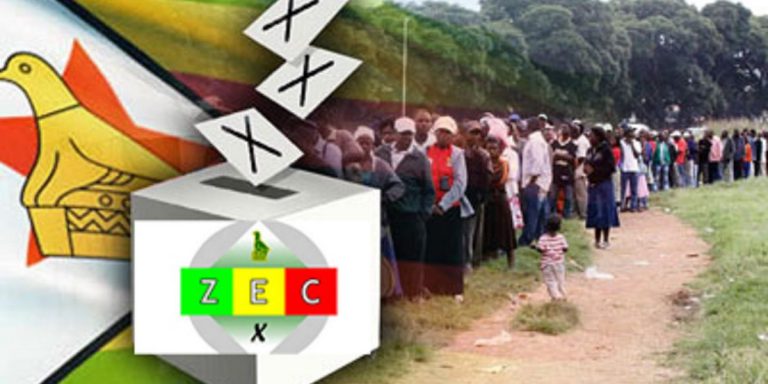 ZEC Speaks On Chiwenga’s Suspension Of By-Elections