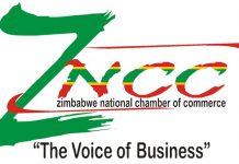 Payment of USD salaries should not be fast-tracked: ZNCC