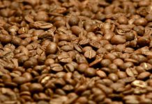 Nespresso Revives Zimbabwe’s Once-Thriving Coffee Industry