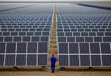 horticultural firm to be powered by 1.9 MW of solar-plus-storage