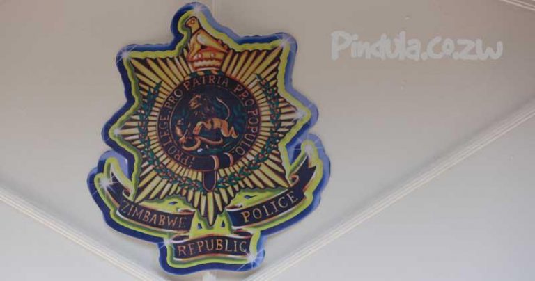 We Will Continue Arresting People Not Wearing Masks – ZRP