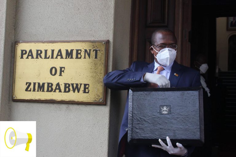 PDF: Zimbabwe’s 2021 National Budget Statement