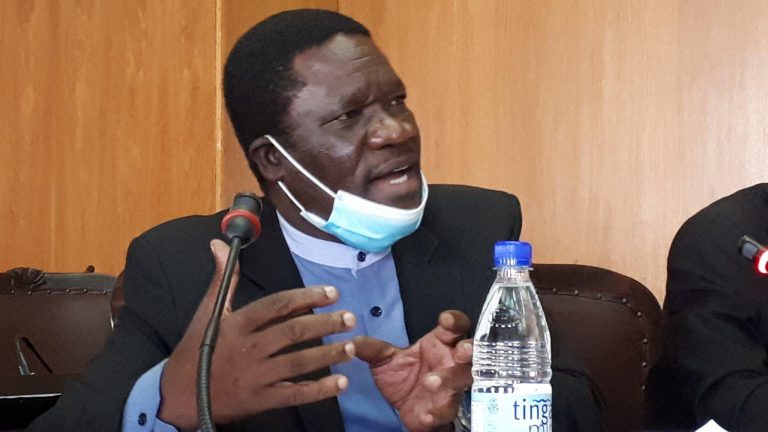 ‘Underfunding Of ZEC Ploy To Avoid By-elections’