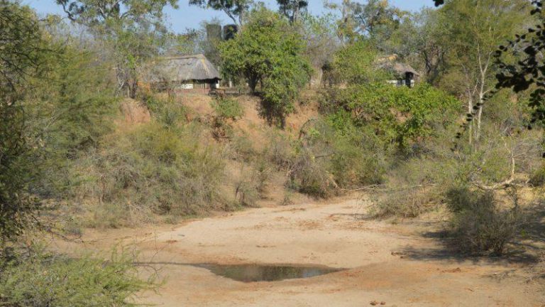 Chinese Miners Turn Hwange’s Deka Road Into A Death Trap