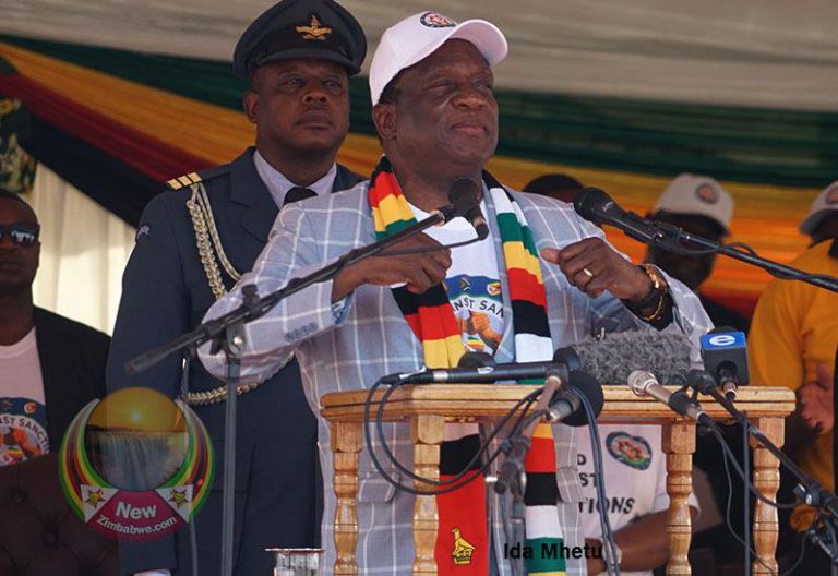 Zanu PF Hijacks Govt‘s Pfumvudza Programme Amid Partisanship Claims