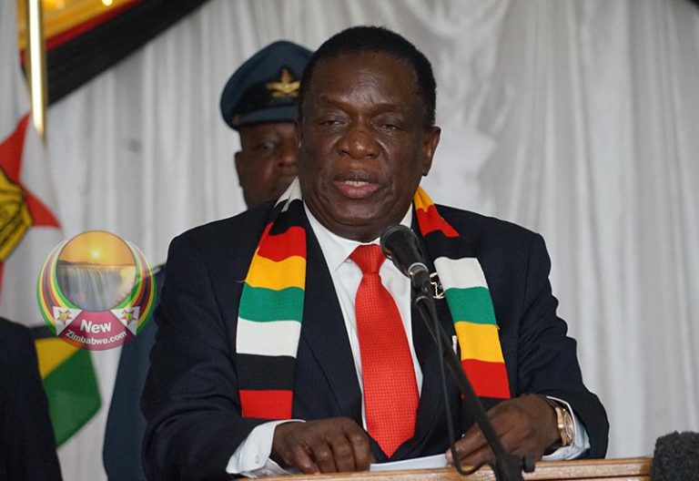 Mnangagwa Backs Calls For 30 % Women In Council Seats