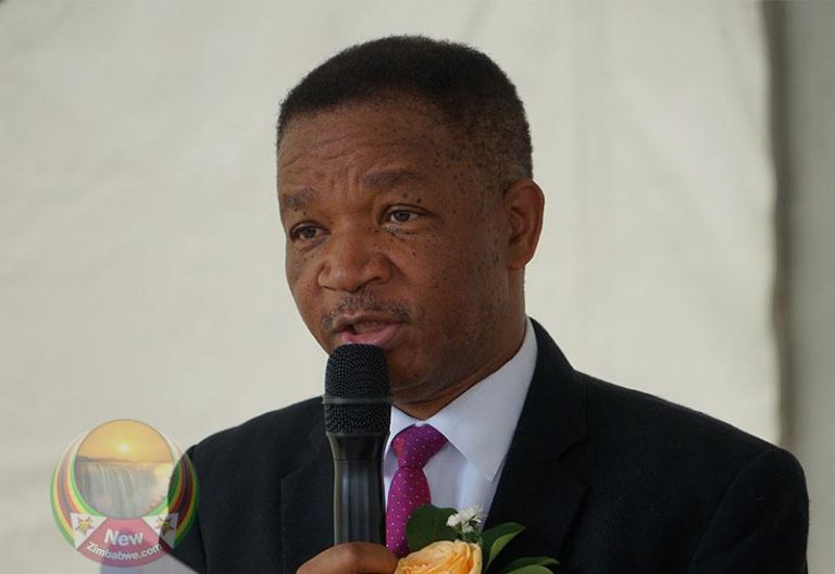 Police Out In Full Force During Festive Season – Ministers
