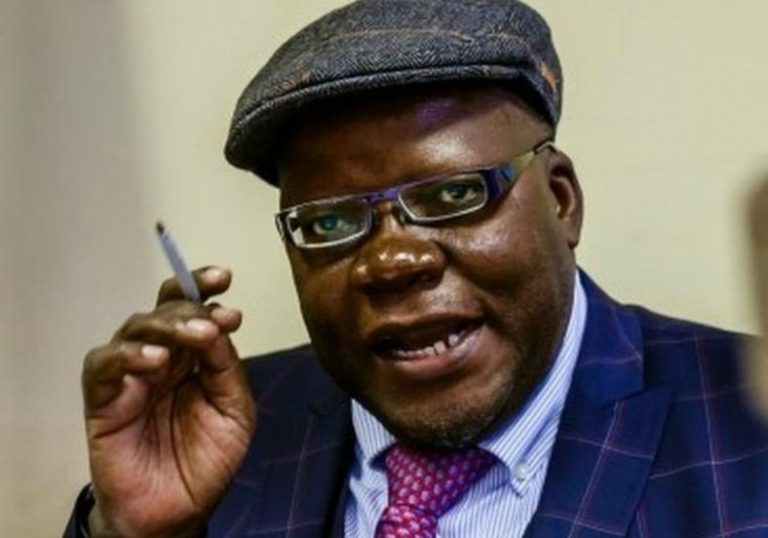 Biti, MDC Alliance Sued US$1m For Insulting Russian Woman