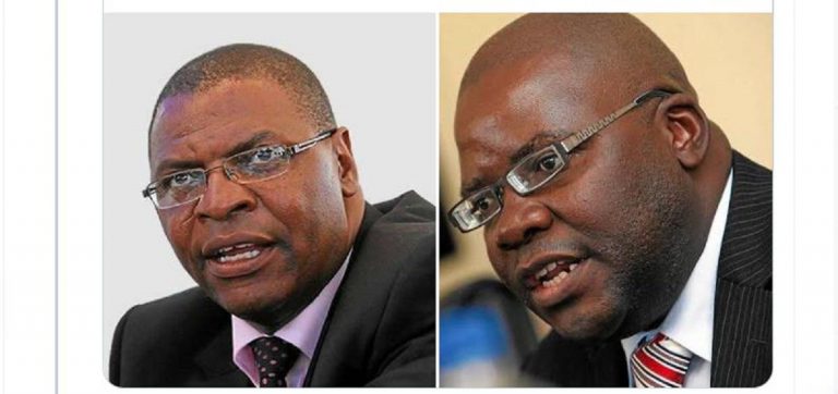 Hopewell Chin’ono Questions Chamisa’s Appointments