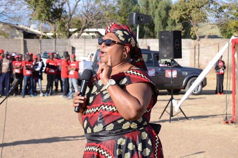 Khupe Will Eventually Calm Down – Mwonzora