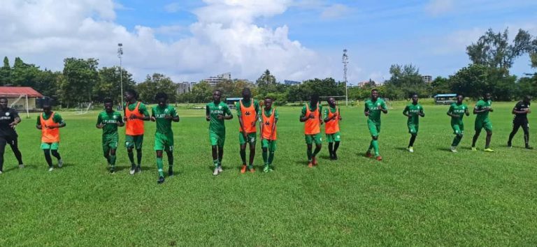Hard Work, Desire To Progress Spurring Us On – Songani