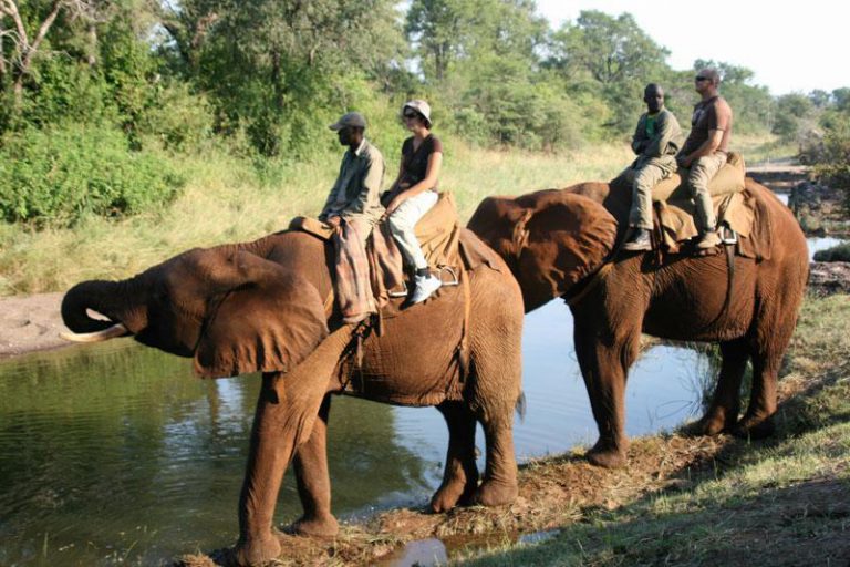 Tourism Players Count Their Losses As Lockdown Decimates Clientele