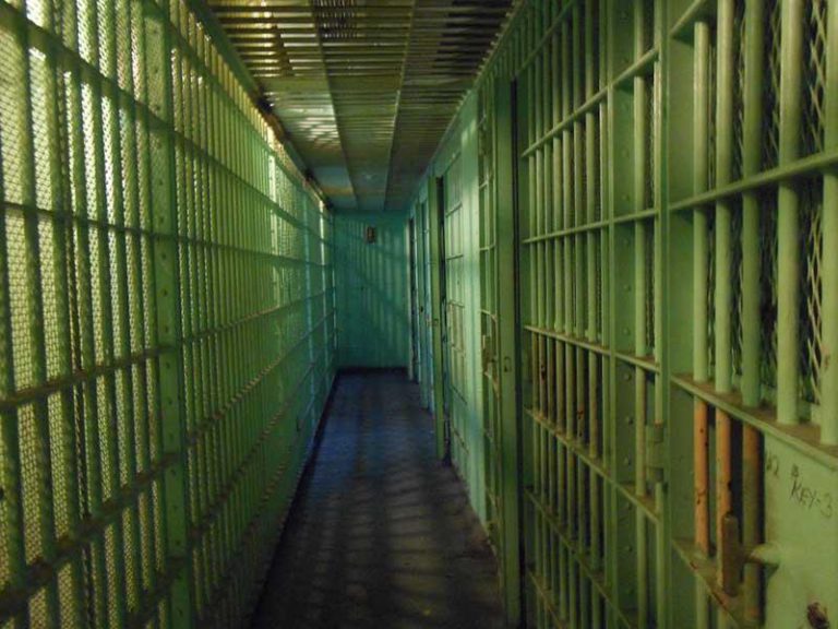 Smuggling Zimbabwean Woman Jailed 15 Years In South Africa
