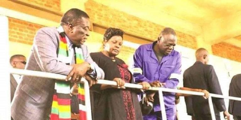 Zanu PF Manicaland Urges ED To Declare Gwaradzimba A National Hero