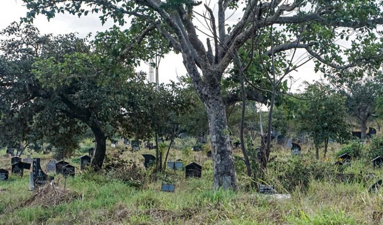 ‘Buried By Strangers’: Funeral Curbs Raise Ire In Zimbabwe