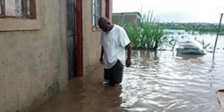 ED: Building In Wetlands “Must Be Decisively Dealt With”