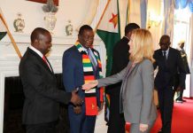 COVID-19: Mnangagwa Lost 3 Of His Best Men -Analyst COVID-19: Mnangagwa Lost 3 Of His Best Men -Analyst