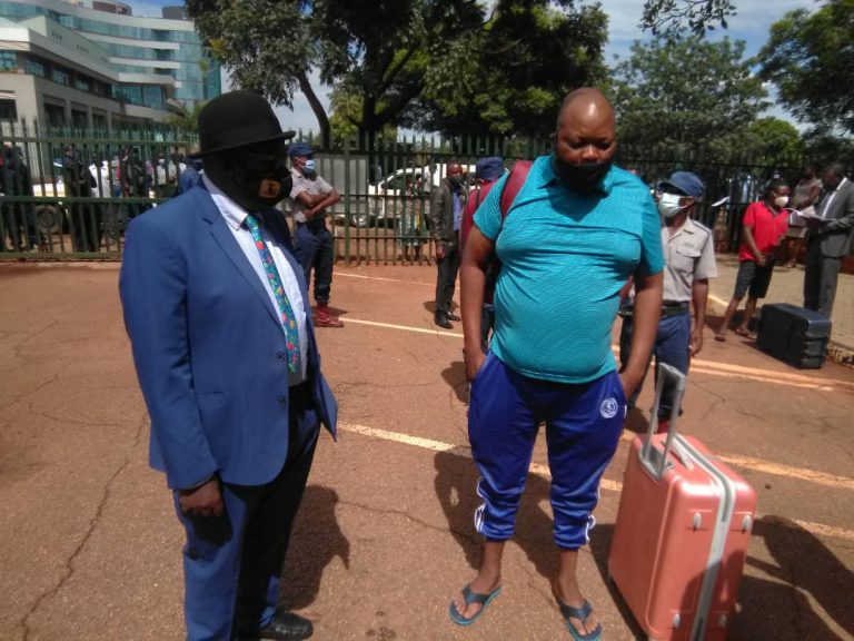 Judge Reserves Judgement In Job Sikhala’s Bail Application